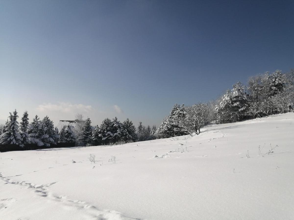 Вилла Goralska Ostoja Pcim Экстерьер фото